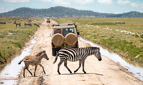 4 Days Best Tanzania Safari
