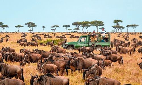 8 Days Kenya Tanzania Safari Tour Package