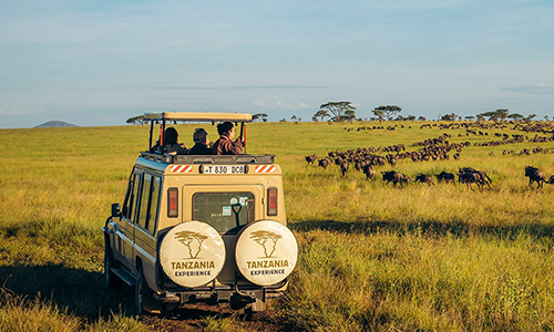 7 Days Budget Kenya Tanzania Safari Tour