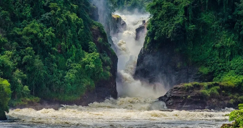 3 Days Murchison Falls National Park – A Thrilling Safari Experience