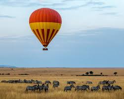 Great Migration Safari
